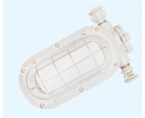 广东矿用隔爆型LED支架灯